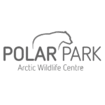 Logo. Polar Park