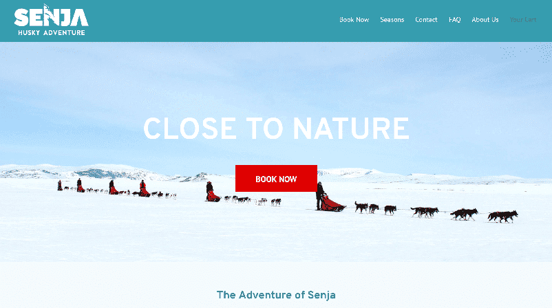 Forsiden til Senja Husky Adventure, en reiselivsbedrift, der kjøpsknappen er rød.
